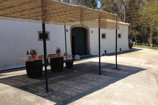 Tour image 8