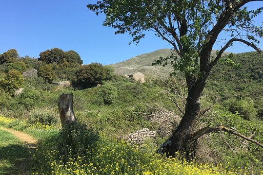 Tour image 14