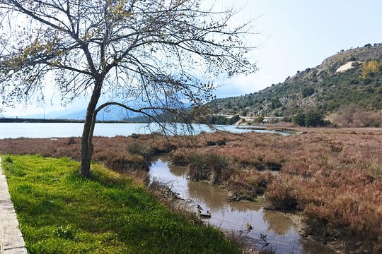 Tour image 5